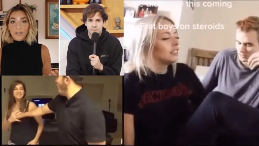 Gabbie Hanna Suing David Dobrik For Assaulted Him? Twitter Drama Explored