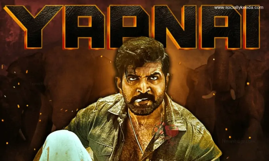 Yaanai Movie (2023) Full Details: Cast | Teaser | Trailer | Songs | Release Date