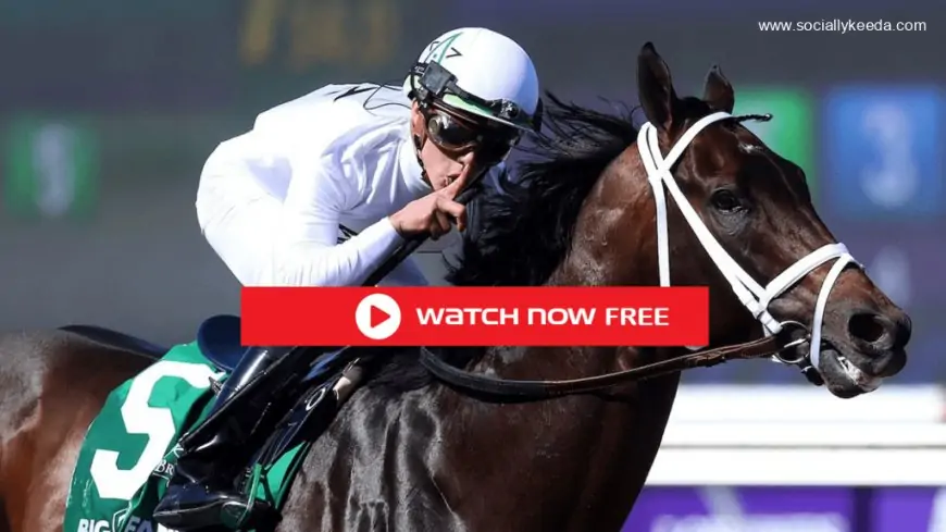 How to watch ‘Horse’ racing – SociallyKeeda.com – Socially Keeda