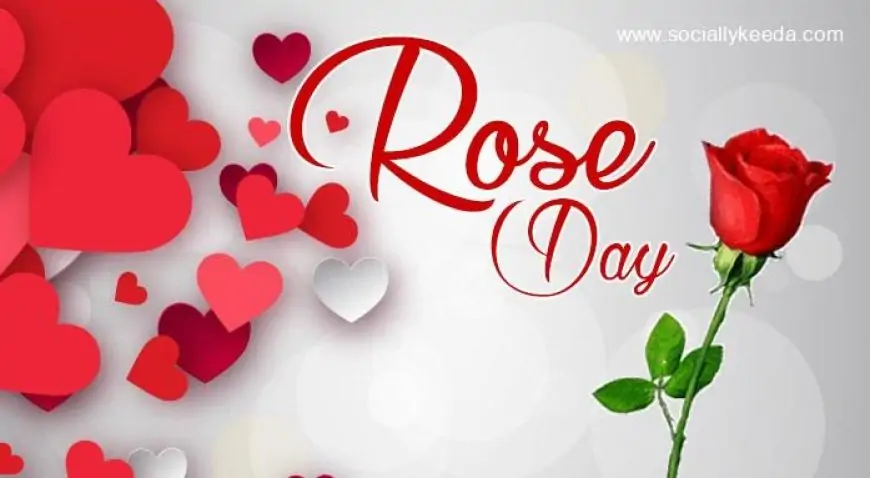 Happy Rose Day 2023 | Valentines Week, Greetings, Love Quotes, Images And More