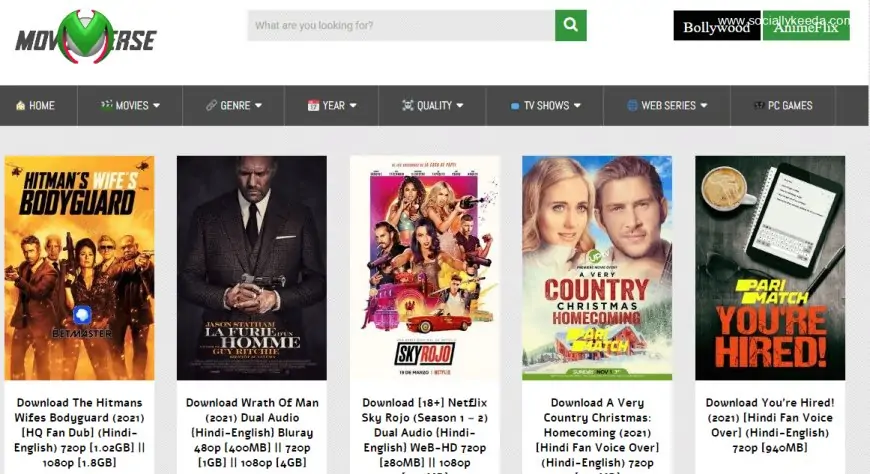 Moviesverse (2023): New Bollywood, Hollywood, Dubbed Movies Online For Free