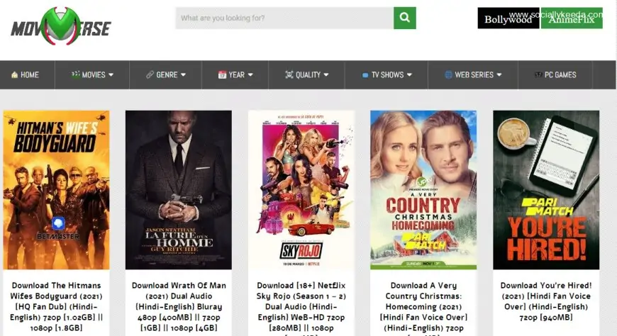Moviesverse (2024): New Bollywood, Hollywood, Dubbed Movies Online For Free