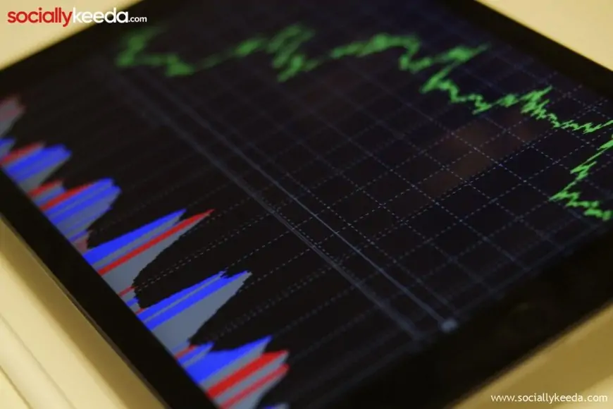 Why should you buy multibagger stocks?