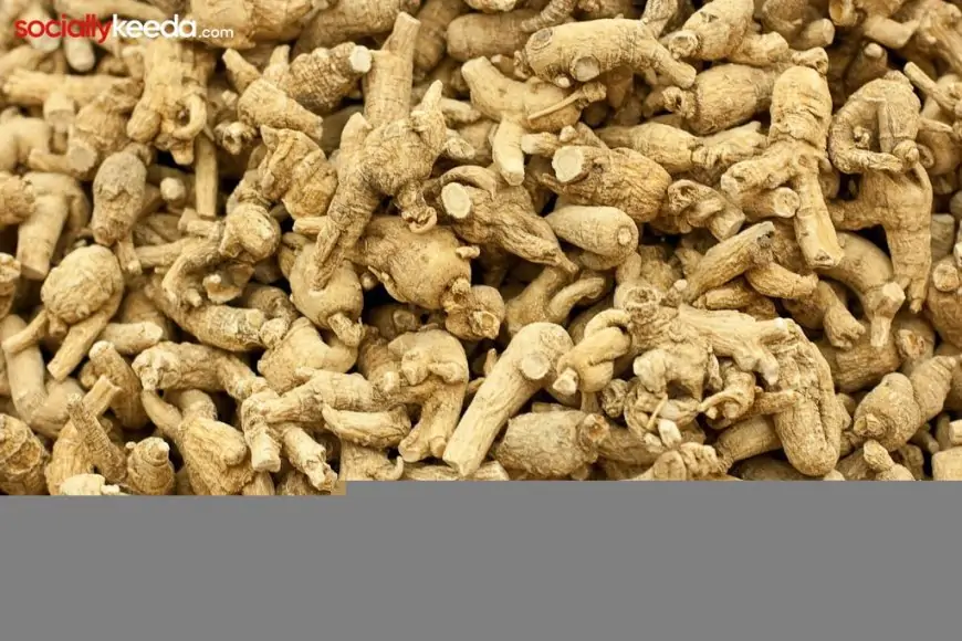 5 Surprising Things About American Ginseng