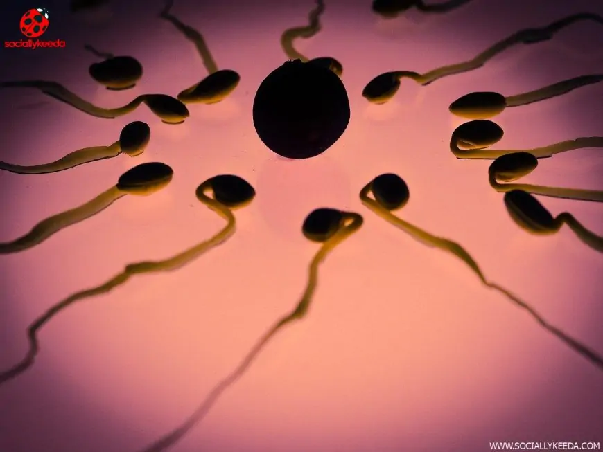 Remedies for Male Infertility Issues!