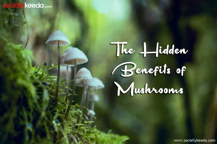 The Hidden Benefits of Mushrooms