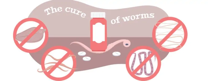 डीवर्मिंग के क्या फायदे होते हैं? deworming- हैलो स्वास्थ्य