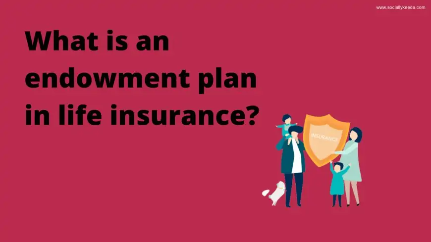 What is an endowment plan in life insurance?