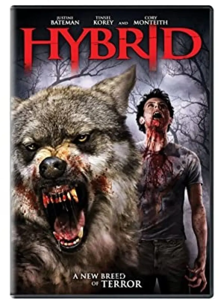 Hybrid (2007) Dual Audio {Hindi-English} 480p [300MB] || 720p [850MB] – hdmoviehub