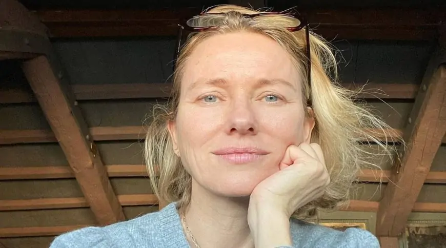 Naomi Watts to lead remake of Austrian movie Goodnight Mommy