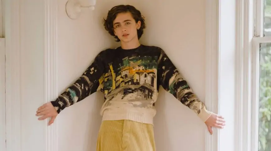 Timothee Chalamet in talks to star in Luca Guadagnino’s next