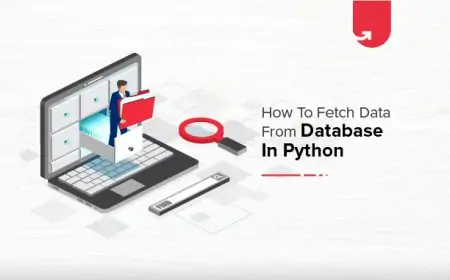 How to Fetch Data From Database in Python? Importing Data Using Python