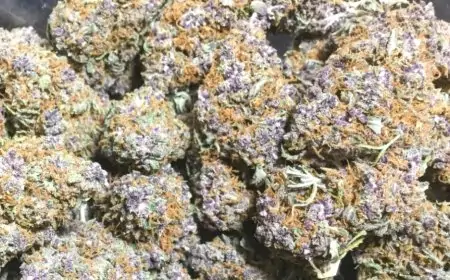 Cannabis Use at Young Age Might Lead to Heart Disease: Study