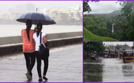 Monsoon 2021 Forecast: From Goa, Maharashtra to Karnataka, Here's When Monsoon Is Expected In These States