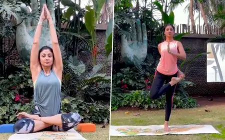 International Yoga Day 2021: Times When Shilpa Shetty Gave Us Major Fitness Goals While Performing Yoga (Watch Videos)