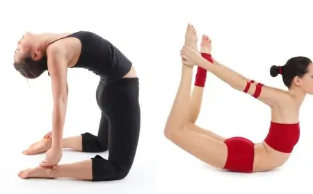 Yoga Poses for Period Pain Relief: From Ustrasana to Dhanurasana, 5 Yoga Asanas To Help Ease Menstrual Cramps