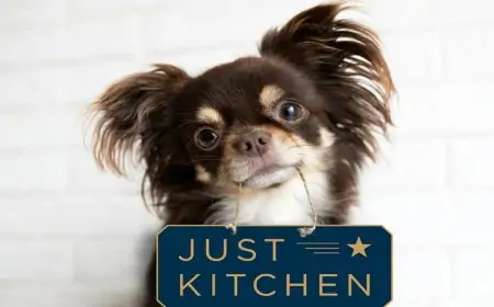 SimplyKitchen Disrupts Industry With Ghost-Kitchen Deliveries for Pets