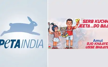 PETA Wants Amul To Take Down 'Misleading' Topical Featuring 'Vegan' Novak Djokovic