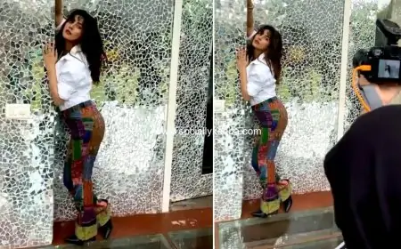 Shehnaaz Gill Poses for Dabboo Ratnani; Ace Photographer Shares a BTS Video From the Glam Shoot!