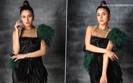 Shehnaaz Gill Looks Gorgeous as She Poses in a Black Dress for Dabboo Ratnani’s Latest Photoshoot (View Pics)