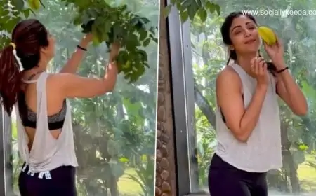 Shilpa Shetty Kundra Can’t Contain Her Happiness While Plucking Carambola AKA Star Fruit From Her Garden (Watch Video)