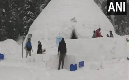 Igloo Cafe in Jammu and Kashmir's Gulmarg Becomes New Tourist Attraction (View Pics & Video)