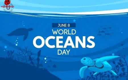 Top Awareness Creating Quotes, Slogans, Messages, Images, Posters, Instagram Captions to share on Social Media