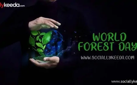 Celebrating World Forest Day: Quotes, Wishes, Poster, Theme (2023)
