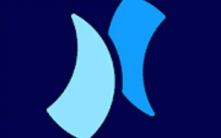 Niagara Launcher fresh & clean v1.1.2 [Pro] APK [Latest]