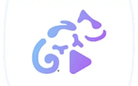 Stellio Player v6.2.13 [Premium Mod] APK [Latest]