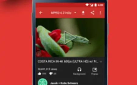NewPipe (Lightweight YouTube) v0.22.0 [Mod] APK [Latest]