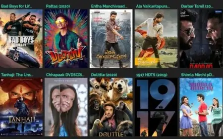Klwap 2020 Website – Download New Kannada, Malayalam and Tamil Movies Online – Is It Legal? – Socially Keeda