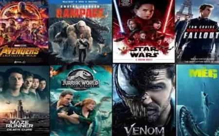 Afdah 2021 – How does the illegal HD movie download website work? – Socially Keeda