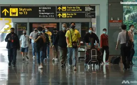 40 new COVID-19 cases in Singapore, all imported