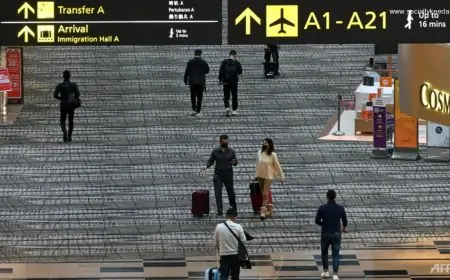 2 more COVID-19 cases in Singapore test 'preliminarily positive' for Omicron variant: MOH