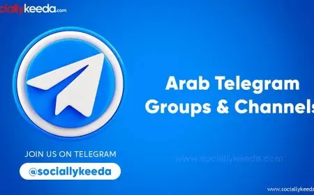 Arab Telegram Groups and Channels