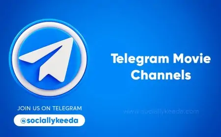 Telegram Movie Channels: Do you enjoy watching movies and TV shows?