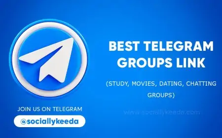 Best Telegram Groups Link In 2023 (Study, Movies, Dating, Chatting Groups)