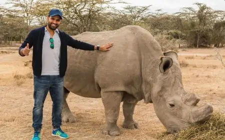 World Environment Day 2021: Rohit Sharma Urges Netizens to Love, Save & Protest Earth World Environment Day 2021: Rohit Sharma Urges Netizens to Love, Save & Protest Earth