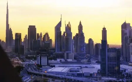 New section in Dubai Police to combat crimes against wildlife