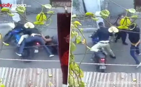 UP: Meerut Girl Fights Off Chain Snatchers Bravely, Pulls Down Two Bike-Borne Miscreants (Watch Video) UP: Meerut Girl Fights Off Chain Snatchers Bravely, Pulls Down Two Bike-Borne Miscreants (Watch Video)