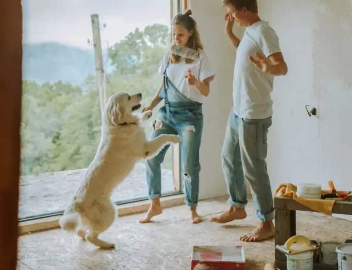 Pet care tips: Here's how to move houses with pets