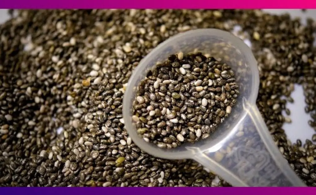 Chia Seeds Benefits: रोज दुधात भिजवलेल्या चिया च्या बिया खाल्याने होतील 'हे' आरोग्यदायी फायदे 
