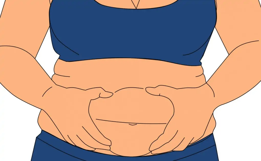 Obesity Reduces Mitochondrial Gene Expression in Fat Tissue, Says Study