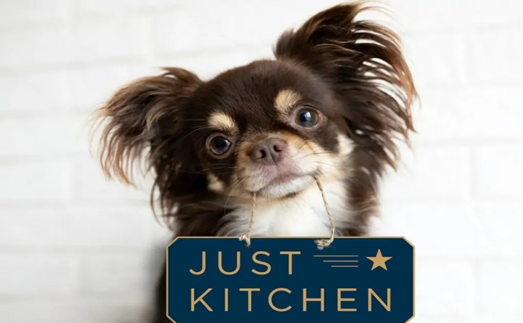 JustKitchen Disrupts Industry With Ghost-Kitchen Deliveries for Pets