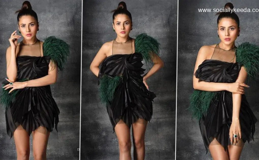 Shehnaaz Gill Exudes Perfection in a Short Black Dress As She Poses for Dabboo Ratnani Again (View Pics)