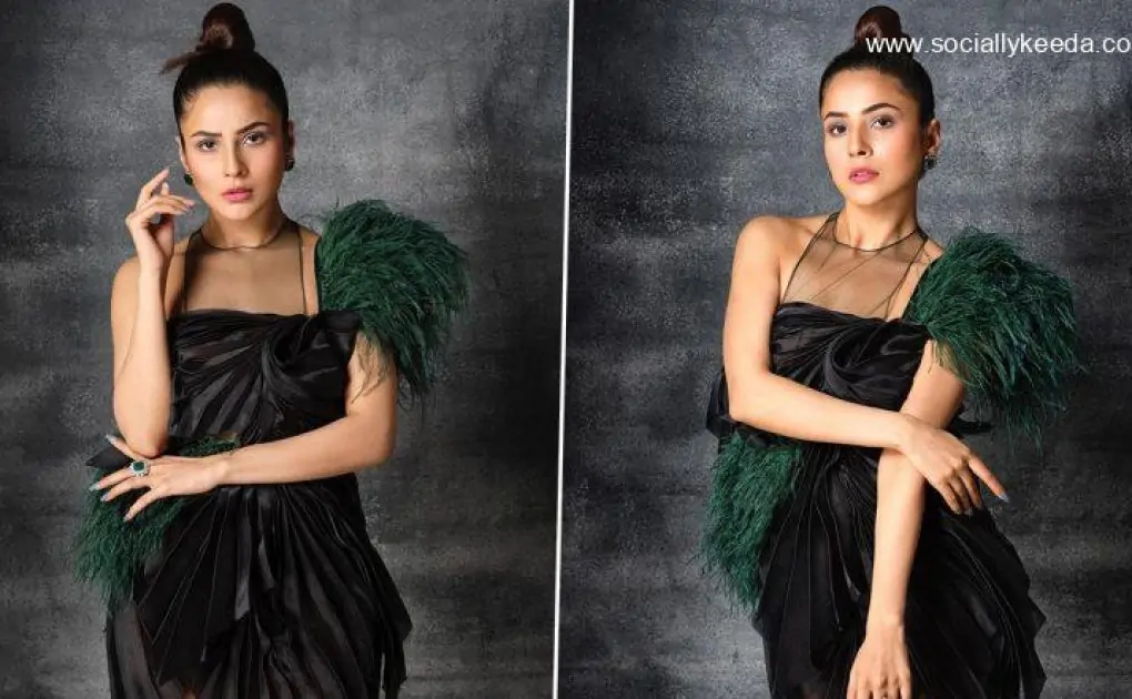Shehnaaz Gill Looks Gorgeous as She Poses in a Black Dress for Dabboo Ratnani’s Latest Photoshoot (View Pics)