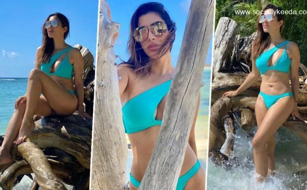 Sophie Choudry Flaunts Her Curves In A One Shoulder Bikini Swimsuit In These Throwback Pics From Her Maldivian Vacay