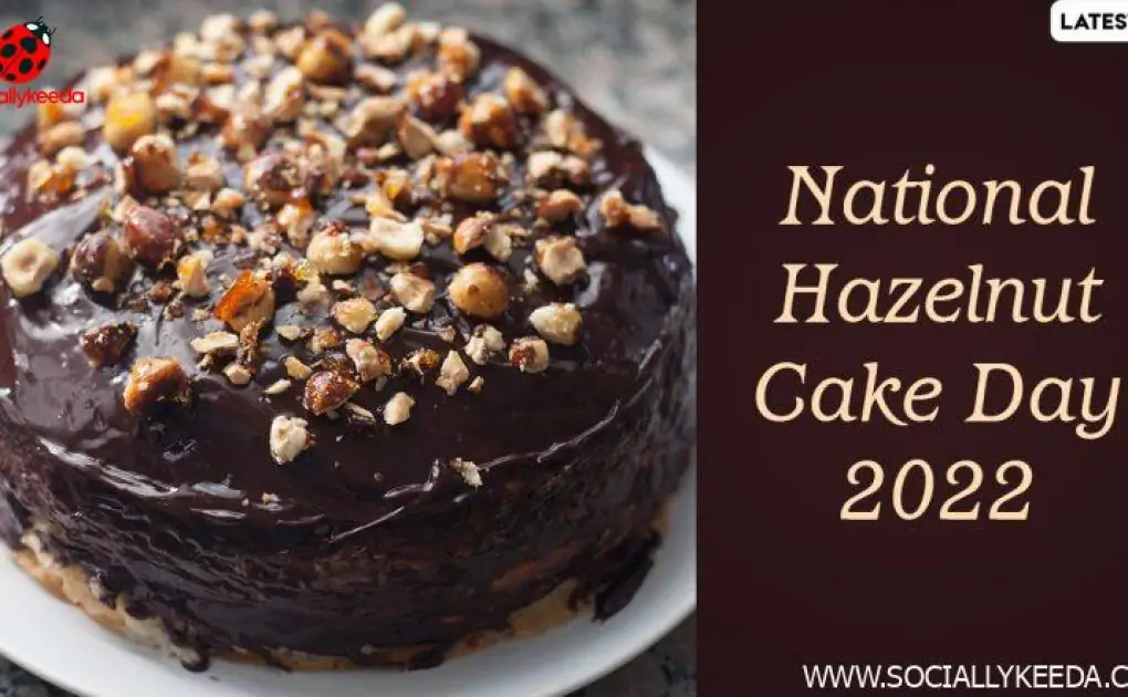 National Hazelnut Cake Day 2022: Yummiest Cake Recipe To Enjoy the Nutty and Buttery Hazelnut Cake at Home