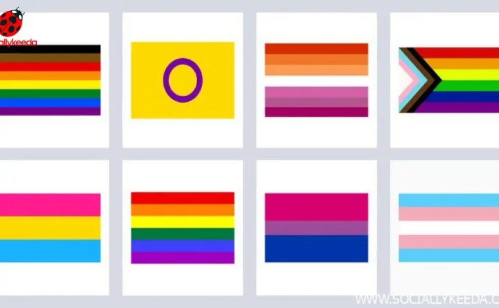 LGBTQ+ Flags and Their Meanings: In June Pride Month 2022, Here’s A Complete Guide to the Queer Flags, Colours and What They Mean